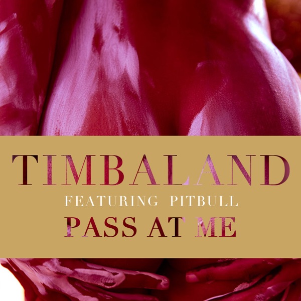 Pass At Me (feat. Pitbull) - Single - Timbaland