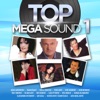 Top Mega Sound vol. 1