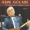 Gurbet Yolu Uzadıkça Uzuyor (Özel Seri, Vol. 1) - EP