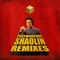 Shaolin (Mr. Bigspender Remix) - Polymorphic lyrics