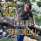 Chapéu de Palha - Carlos Santorelli lyrics