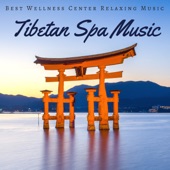 Tibetan Spa Music - Best Wellness Center Relaxing Music Collection for Spa, Hammam, Sauna artwork