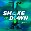 Shake It Down - Single