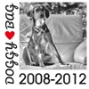 Doggy Bag (2008 - 2012)
