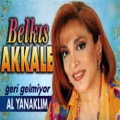 Adana Çiftetellisi artwork