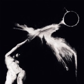 Dedekind Cut - MMXIX