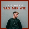 Sag mir wie - Single