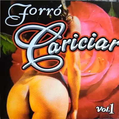 Vol. 1 - Forró Cariciar