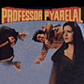 Professor Pyarelal (Instrumental) artwork