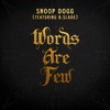 Words Are Few (feat. B. Slade) - Single