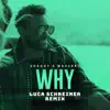 Why (Luca Schreiner Remix) - Single album lyrics, reviews, download