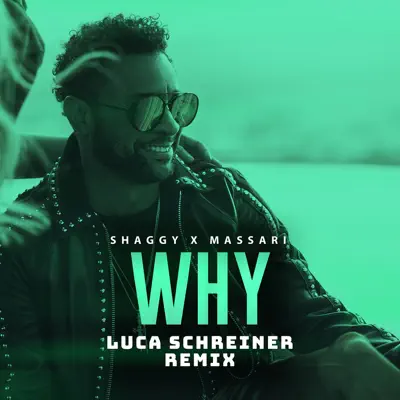 Why (Luca Schreiner Remix) - Single - Shaggy
