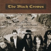 TERAZ NA ANTENIE THE BLACK CROWES - MY MORNING SONG