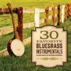 30 Favorite Bluegrass Instrumentals, 2017