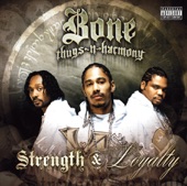 Strength & Loyalty (Bonus Track Version) artwork