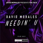 Needin' U (Dub Mix) artwork