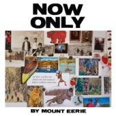 Mount Eerie - Tintin in Tibet