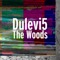 The Woods - Dulevi5 lyrics