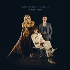 TWENTYTWO IN BLUE cover art