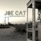 Hell of a Ride - Joe Cat lyrics