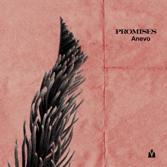 Cover artwork for Promises