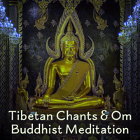 Various Artists - Tibetan Chants & Om Buddhist Meditation: Music with Tibetan Bowls, Singing Bowls, Zen Mindfulness Meditation, Healing Journey artwork