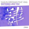 Nothing Like You (feat. VIKA) - Single