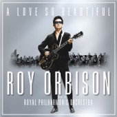 A Love So Beautiful: Roy Orbison & the Royal Philharmonic Orchestra artwork