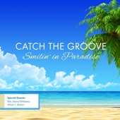 Catch the Groove - Shaken Not Stirred (feat. Nils, Oliver C Brown & Darryl Williams)