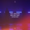 Hold On Tight (Lux Holm Remix) - R3HAB & Conor Maynard lyrics