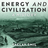 Vaclav Smil - Energy and Civilization: A History artwork