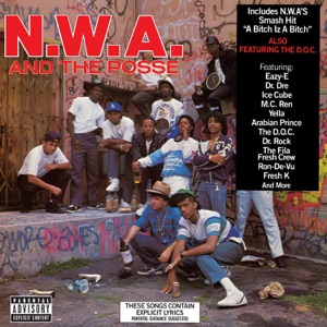 N.W.A. and the Posse