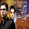 Zindagi Gulzar Hai (Original Motion Picture Soundtrack) - Single