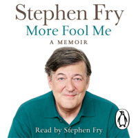 Stephen Fry - More Fool Me artwork
