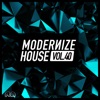 Modernize House, Vol. 40