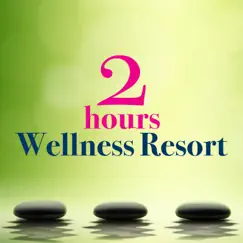 2 Hours in a Wellness Resort - The Very Best in Relaxing Music for Meditation, Sleep, Yoga, Massage by Lord Buddha & Spa Music Collective album reviews, ratings, credits