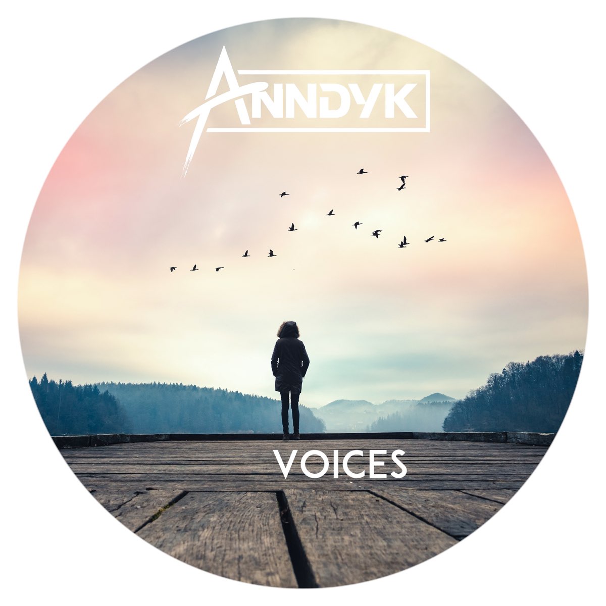 Трек voices. Альбом Voices. Песня Voice. Войс Войс Войс песня. Постеры mp3 Voices.