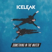 Something in the Water artwork