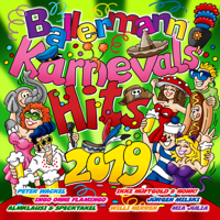 Various Artists - Ballermann Karnevals Hits 2019 artwork