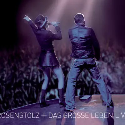Das grosse Leben (Live 2006) - Rosenstolz