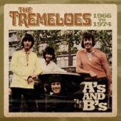 The Tremeloes - Here Comes My Baby