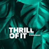 Thrill of It (Instrumental Version) artwork