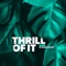 Thrill of It (Instrumental Version) artwork