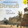 Strauss: Unter den Linden, 2017