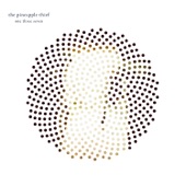 The Pineapple Thief - Doppler