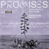 Promises (with Sam Smith) by Calvin Harris iTunes Track 7