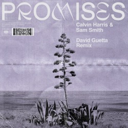 Calvin Harris - Promises