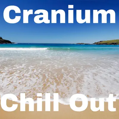 Chill Out - Single - Cranium