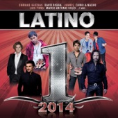 Latino #1's 2014 artwork