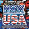 Now That's What I Call the U.S.A. (The Patriotic Country Collection)
